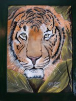 /album/fotogaleria/a26-jpg/