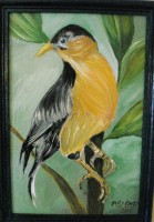 /album/fotogaleria/a7-jpg/