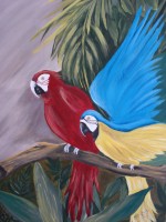 /album/fotogaleria/a27-jpg/