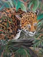 /album/fotogaleria/a29-jpg/